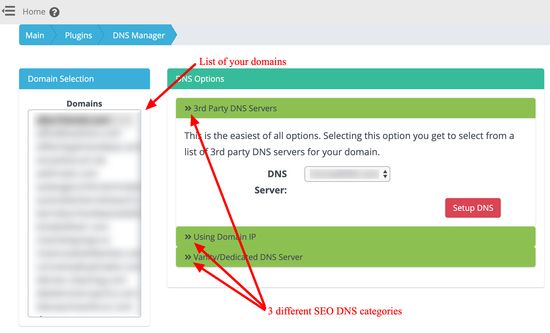 Smart SEO DNS Manager - メインインターフェース